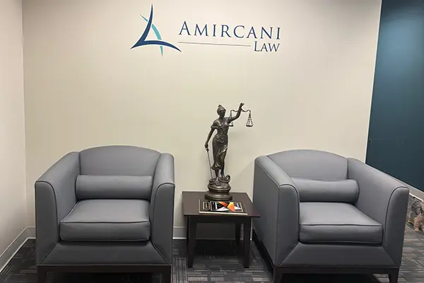 About Amircani Law
